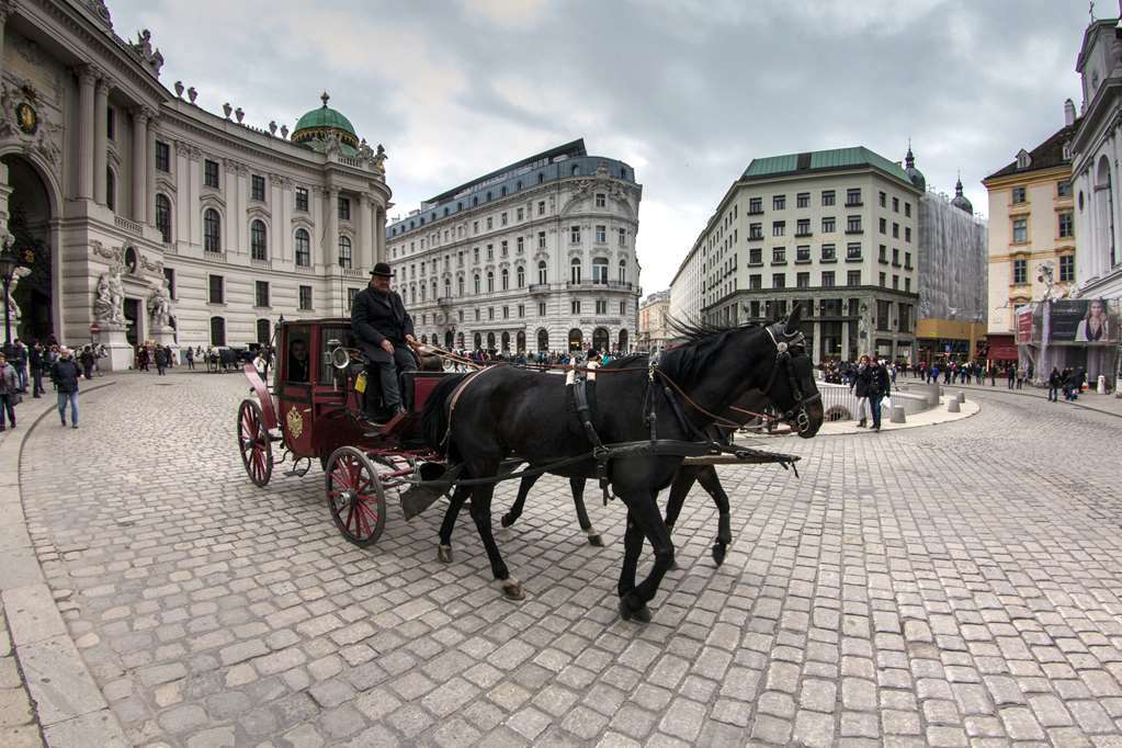 Hotel Calmo Wiedeń Wyposażenia zdjęcie